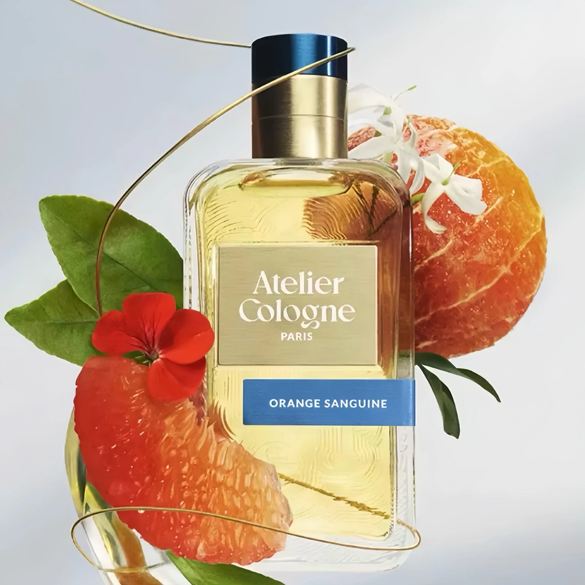 Atelier Cologne Orange Sanguine Eau de Parfum For Unisex 100ML Velamy Luxury