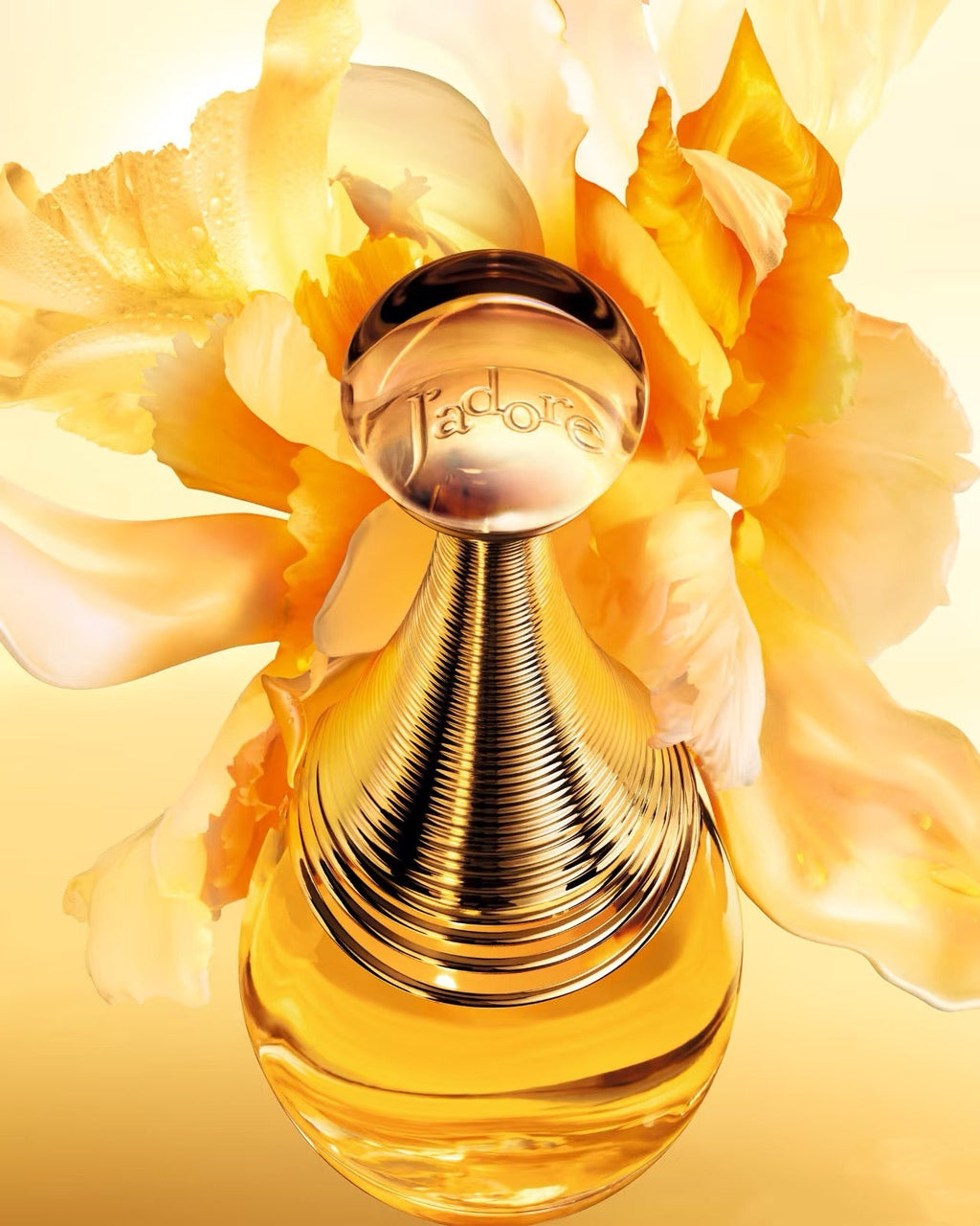 DIOR J’adore Eau de Parfum Eau de Parfum For Women 100ML Velamy Luxury