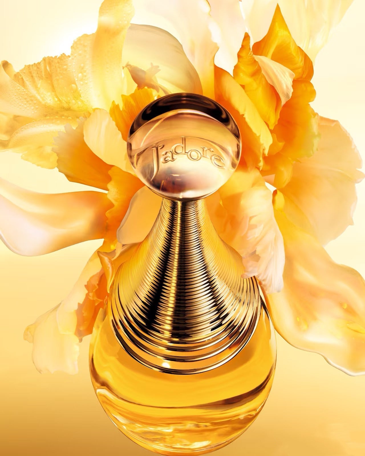 DIOR J’adore Eau de Parfum Eau de Parfum For Women 100ML Velamy Luxury