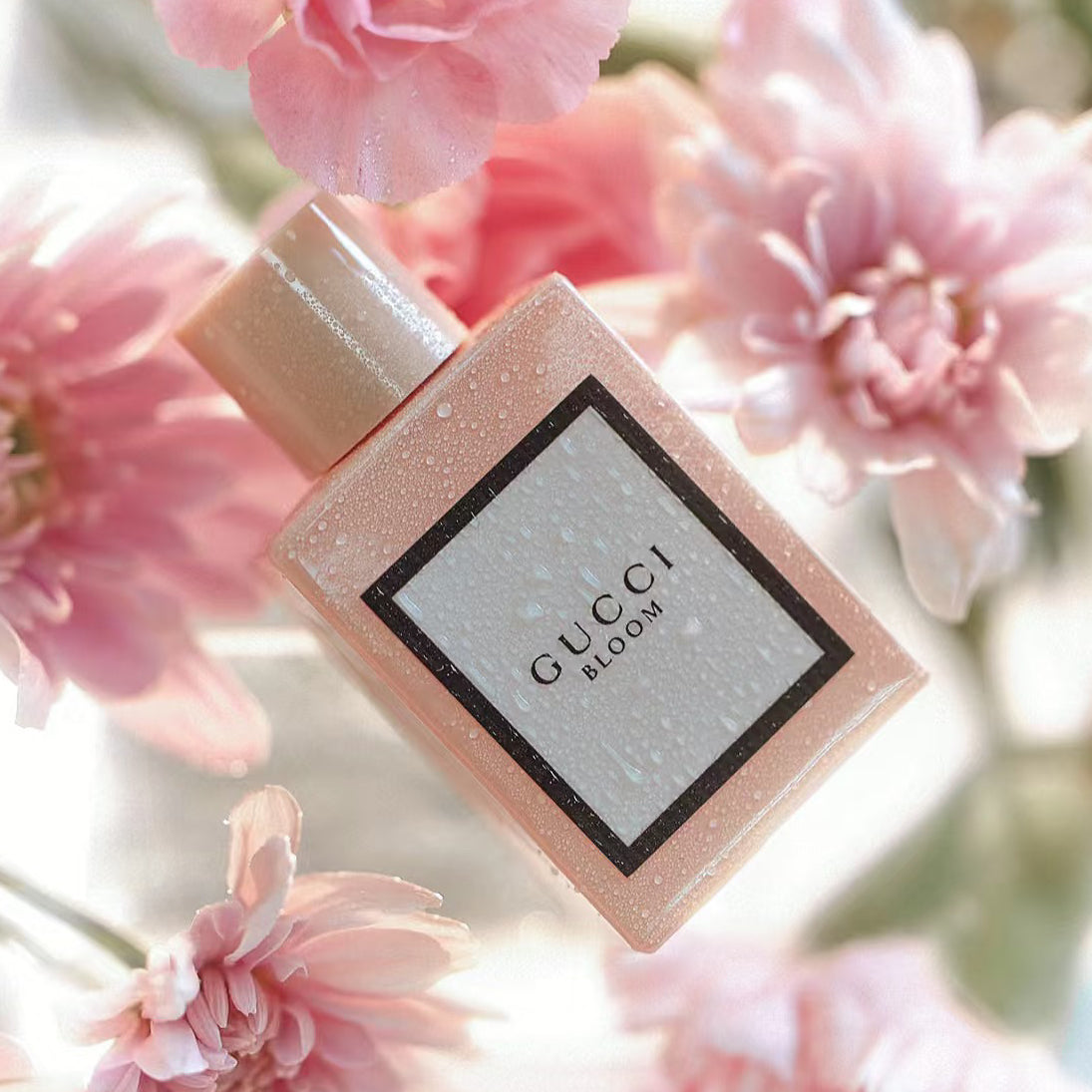 Gucci Bloom Eau de Parfum For Women 100ml Velamy Luxury