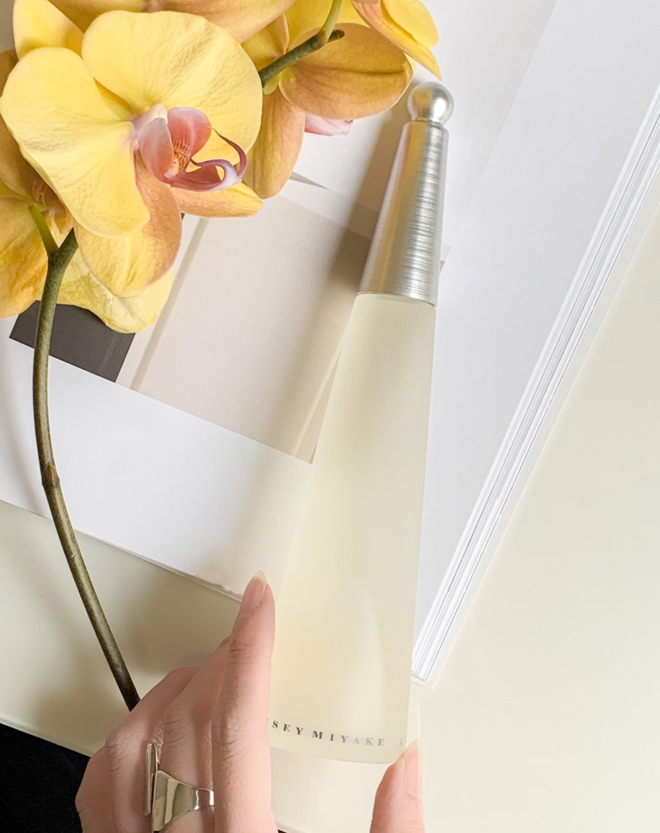 Issey Miyake L'Eau D'Issey Eau de Parfum Woman 100ML Velamy Luxury